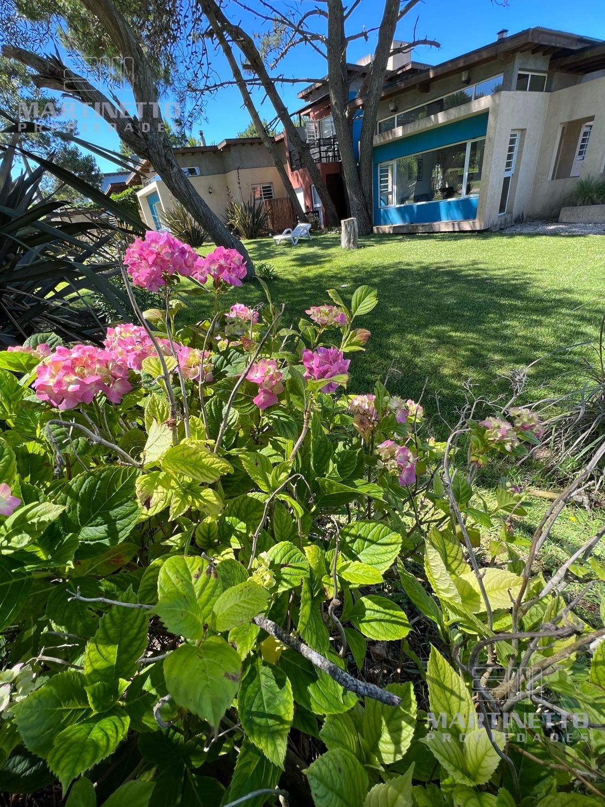 29 Y PUNTA DEL INDIO