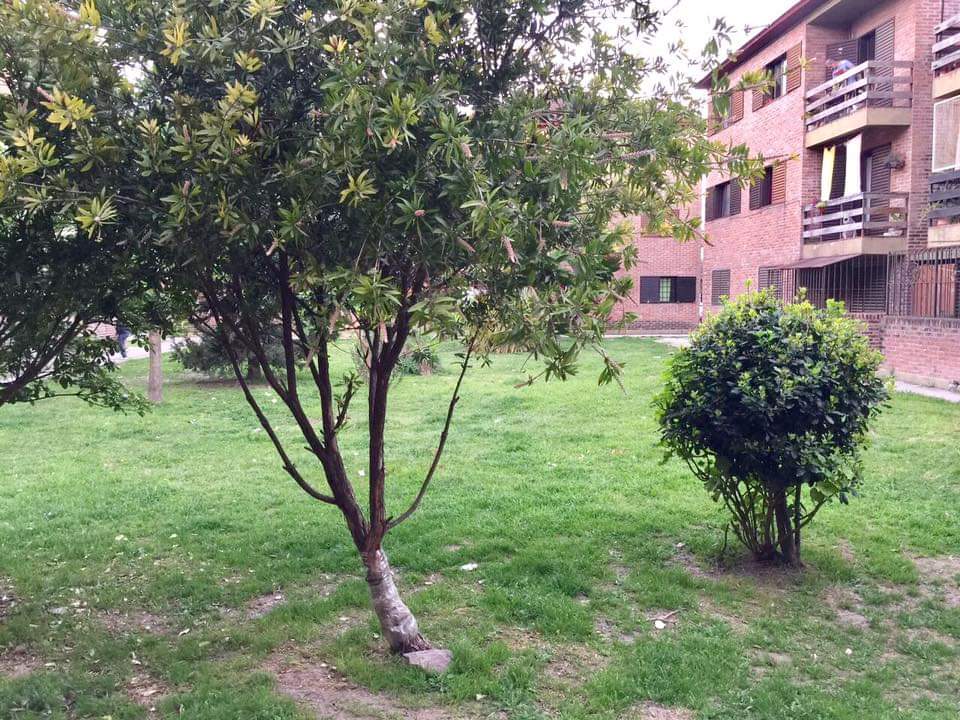 foto-4