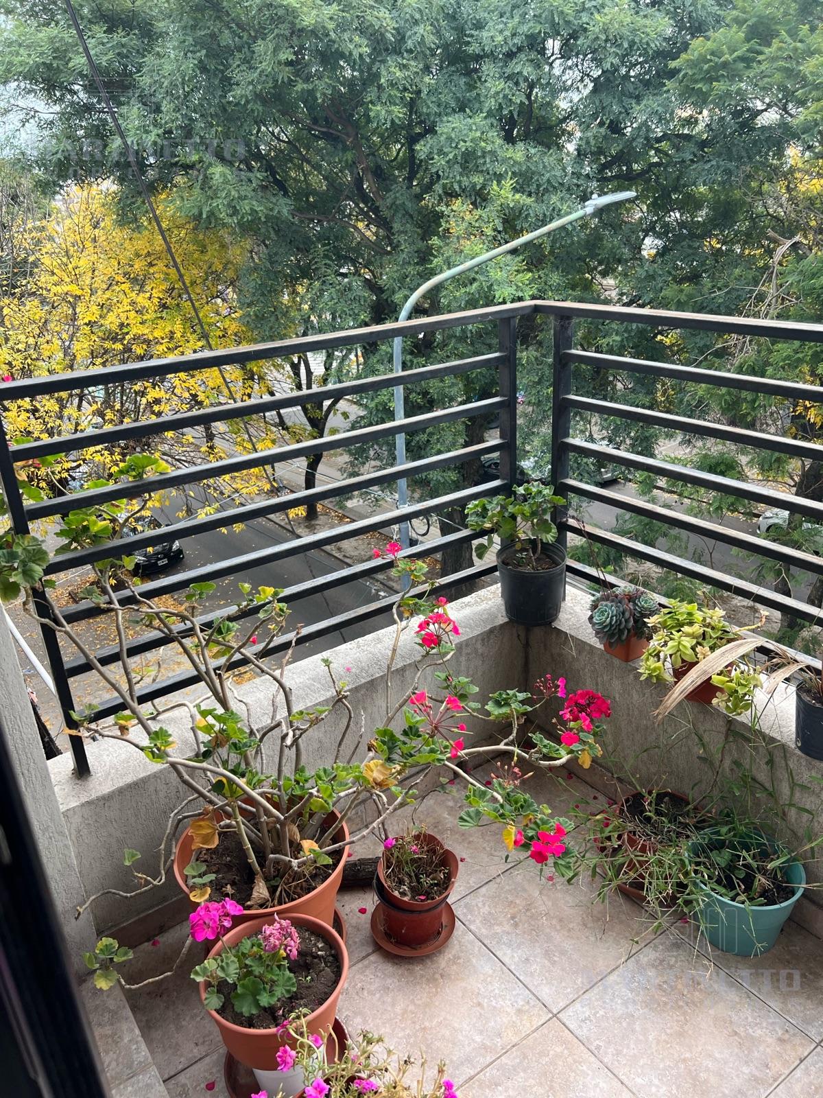 foto-5