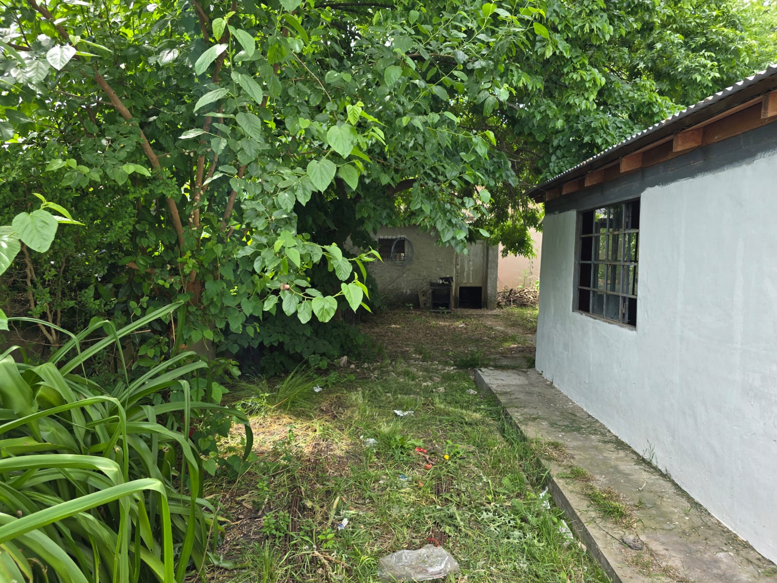 foto-23