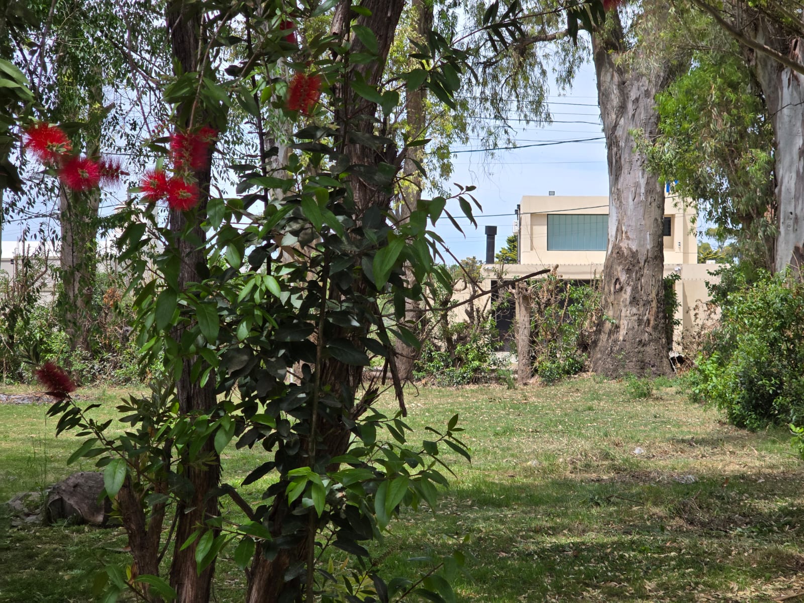 foto-4