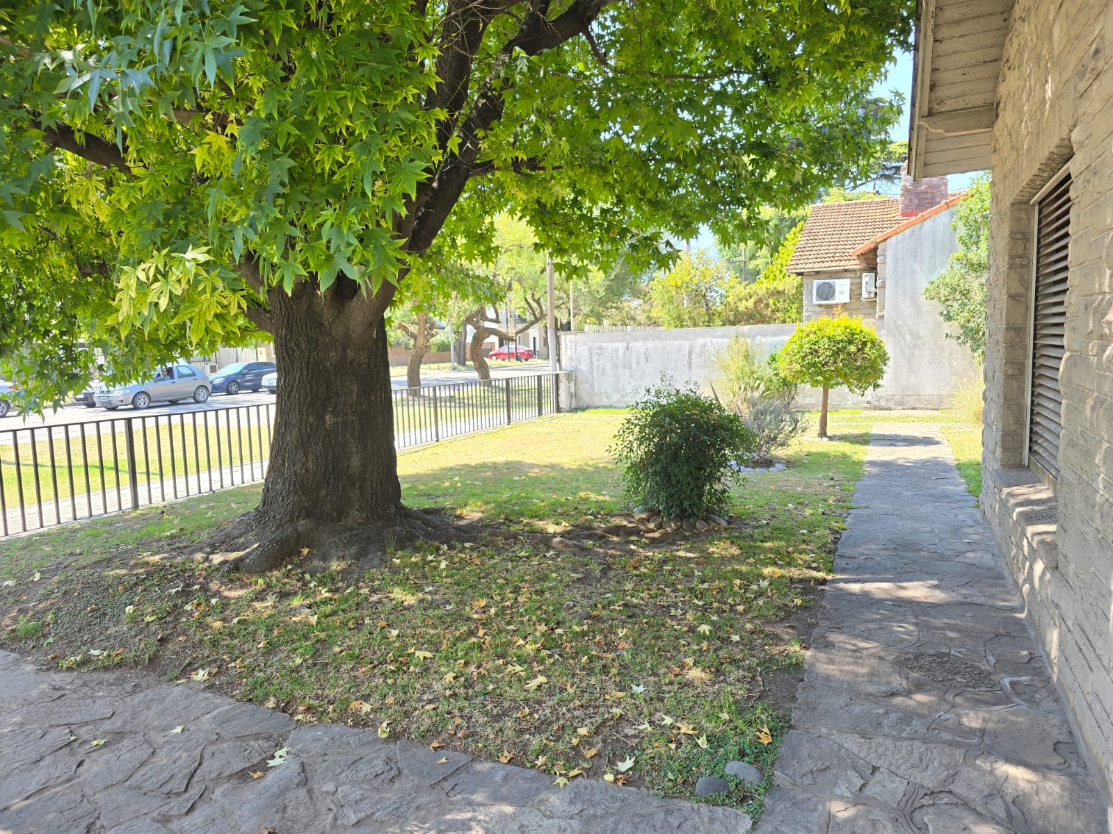 foto-5