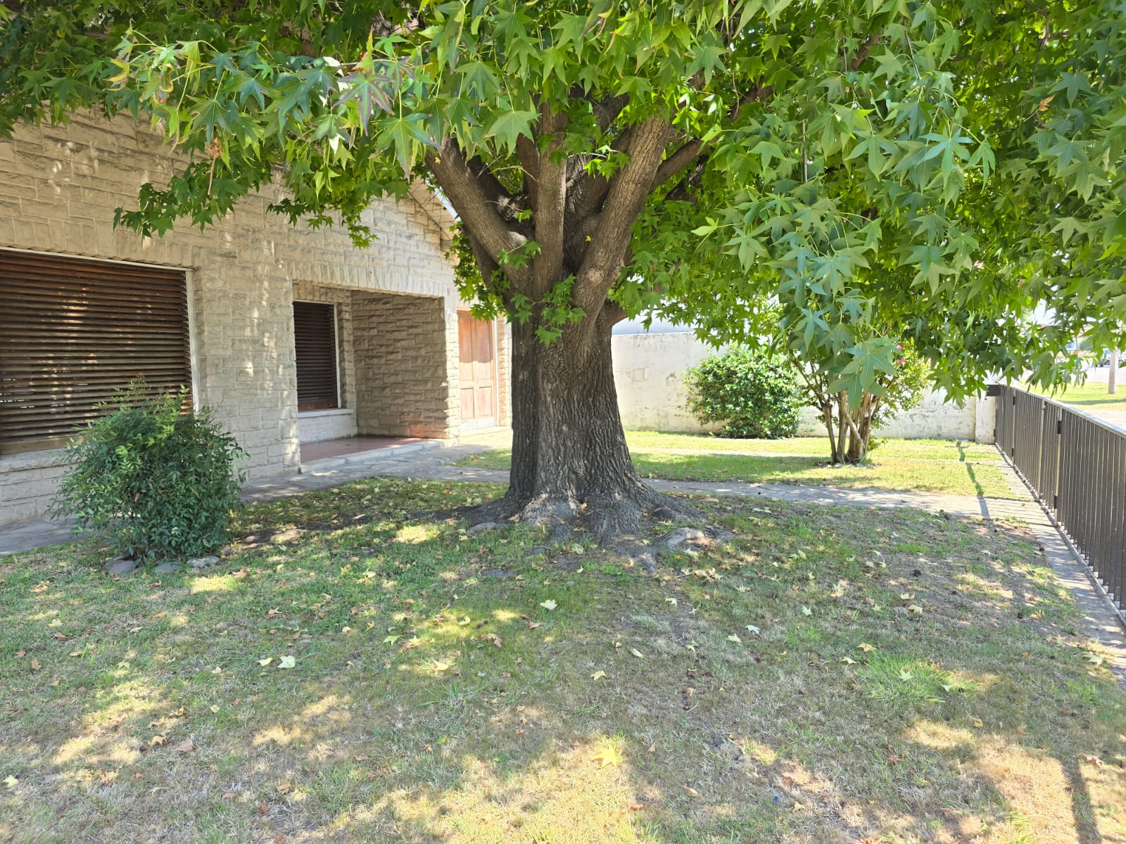 foto-3