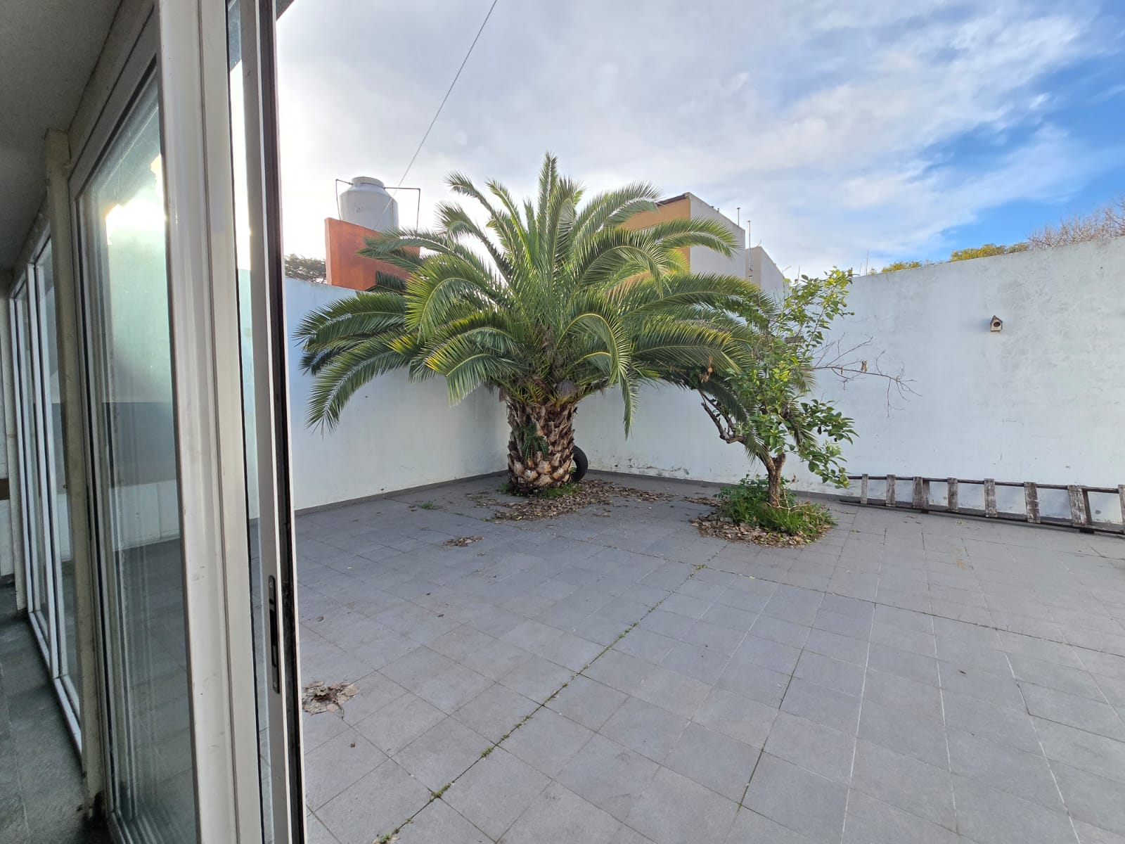 foto-20